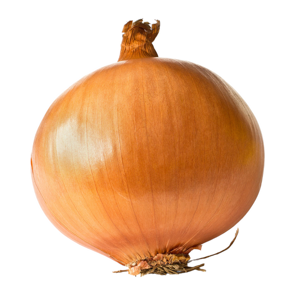 Large White Onion (each)