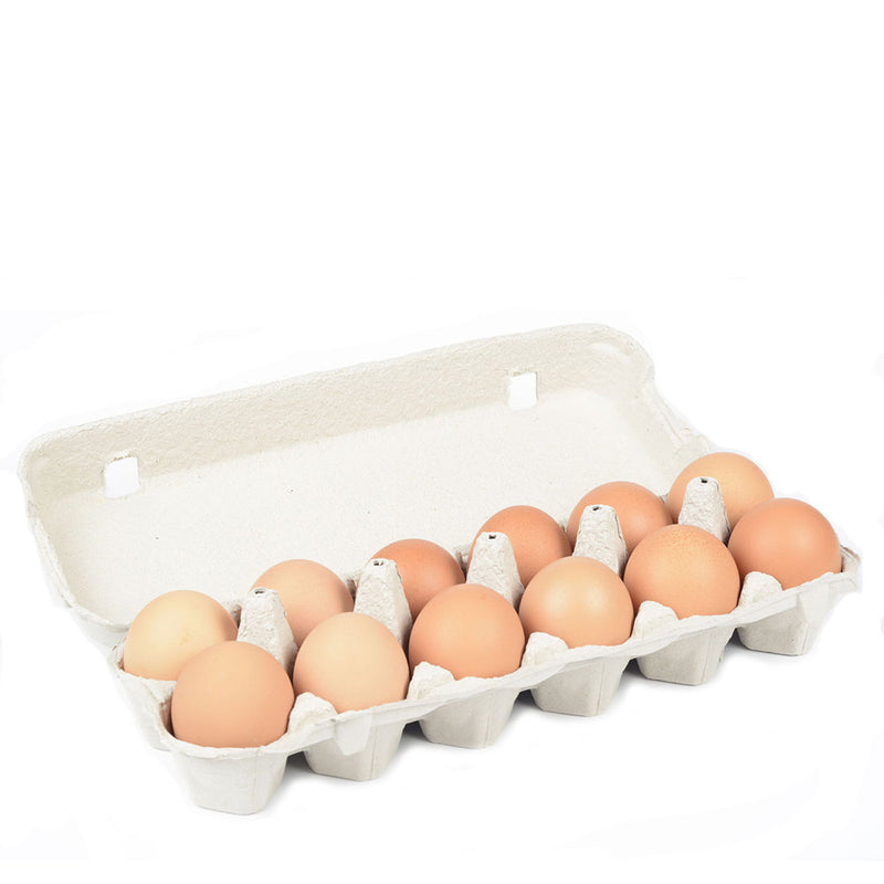 12 Eggs (Medium)