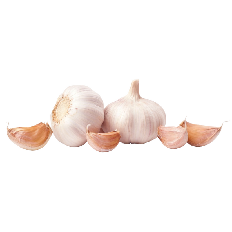 Ajo a granel ( Garlic in bulk) (per Kilo)